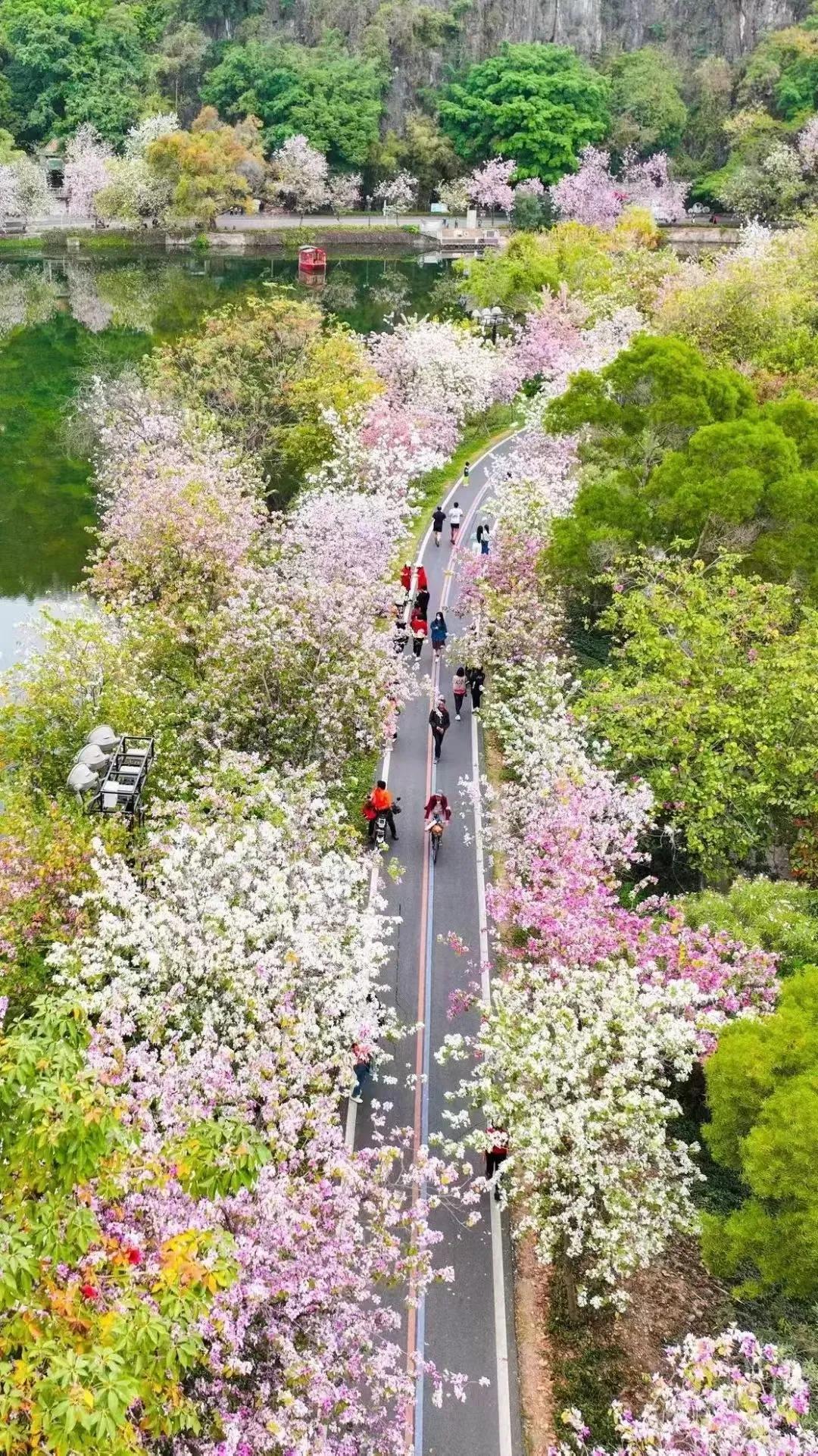 探望诗友李君维众感怀

何东先生

序
 
与李君维众同列南湖诗社，号南湖七俊。
