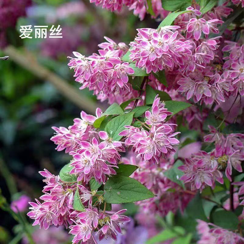 用镜头记录大自然的景色