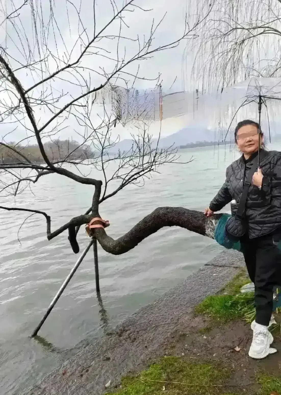 笑不活了！摄影史上的三大错觉乌龙：泰勒六根手臂、毕加索成胖子、梦露悬浮空中


