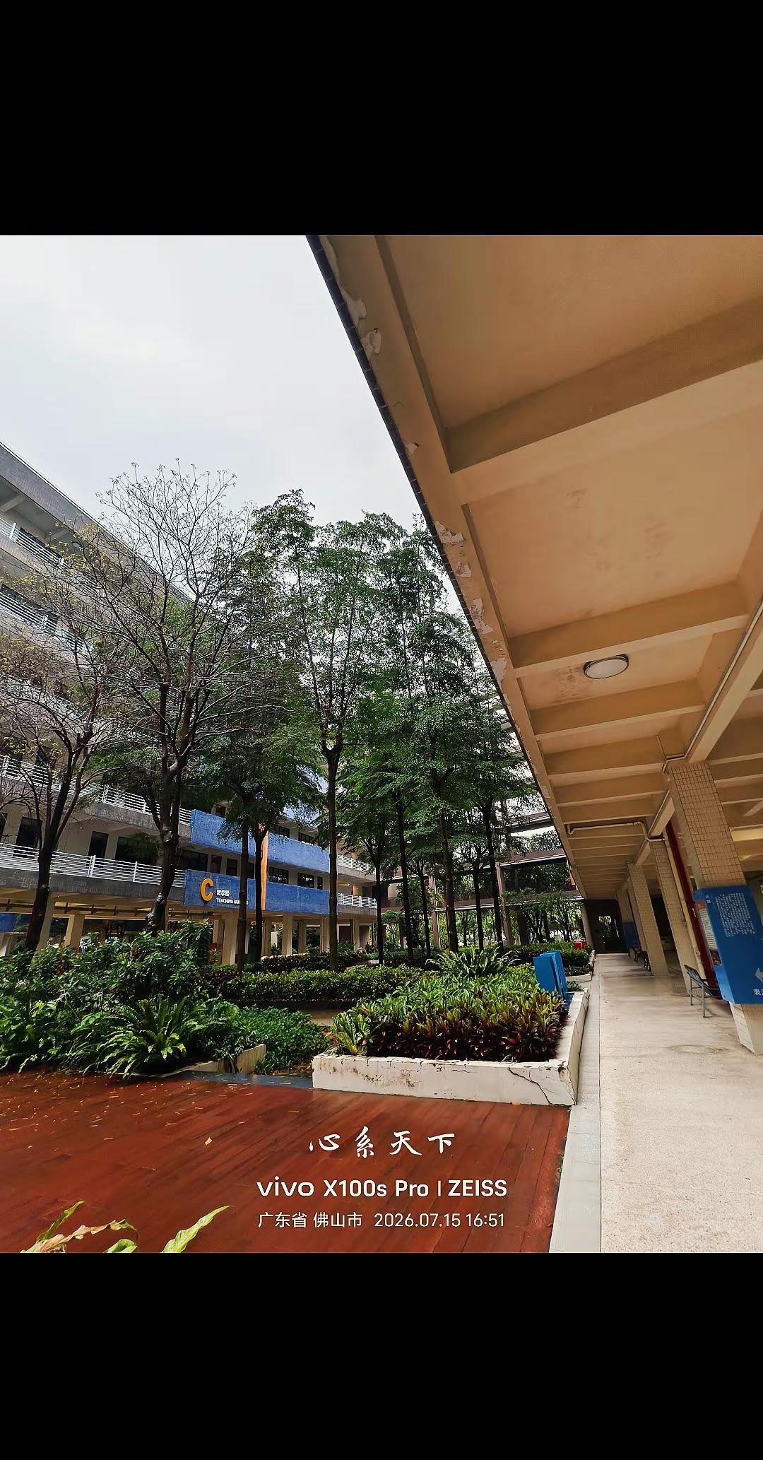 对你。对你真的无从下手，但是我真的很喜欢你镜头下的校园 学校记忆 镜头下的校园一