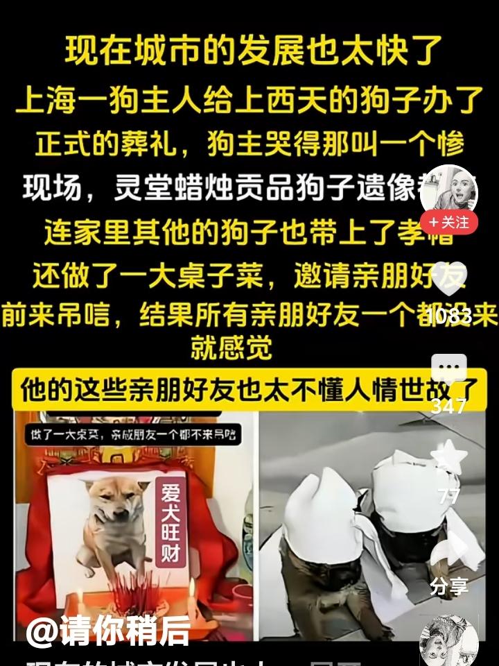上海发展的快，人也富的流油，死个狗也要发讣告，为狗披麻戴孝。
上海一家人为死去的