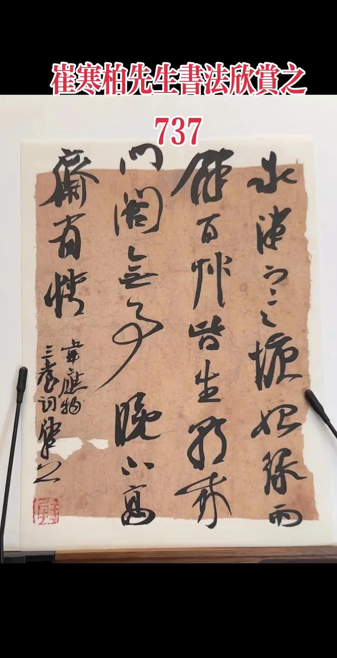 评论家指崔寒柏获奖作品有“设计感”和“炫技”倾向，缺乏天然趣味

部分评论家仔细