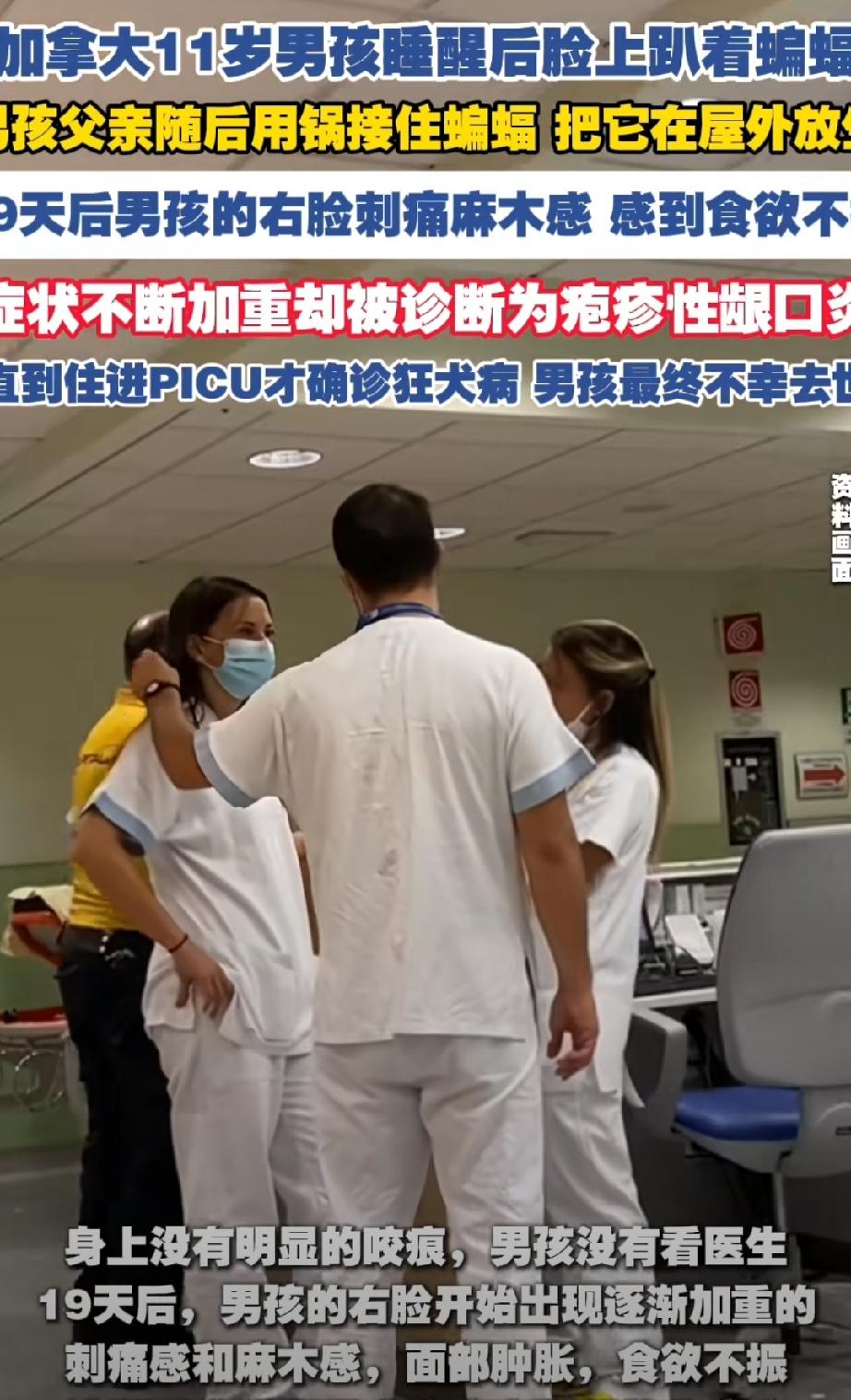 加拿大男孩接触蝙蝠感染狂犬病死亡 2024年夏天，加拿大安大略省北部，一个11岁