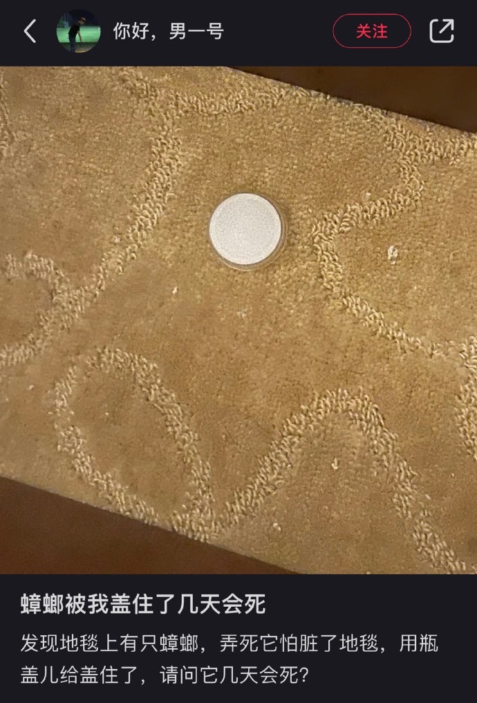 ？？？ ​ ​​​