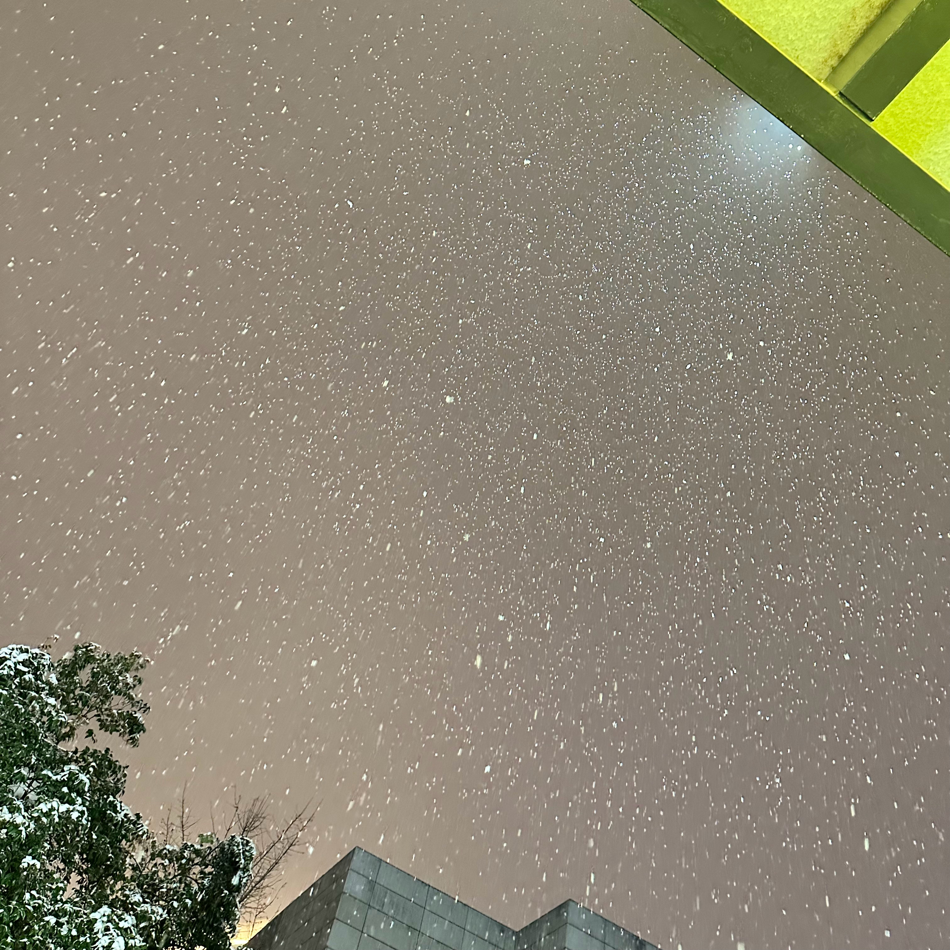 上次拍的忘发了❄️晚安小宝们 ​​​