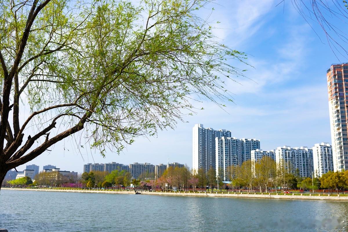 【公司章程：不做填空题，要画生死线】公司章程是公司的“宪法”，但太多创始人只当它