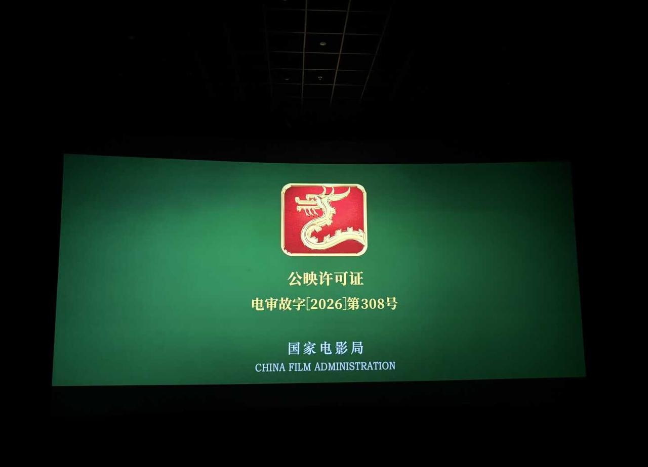去看了空枪，🫪觉得夸张离谱的情节竟然是真人真事改编