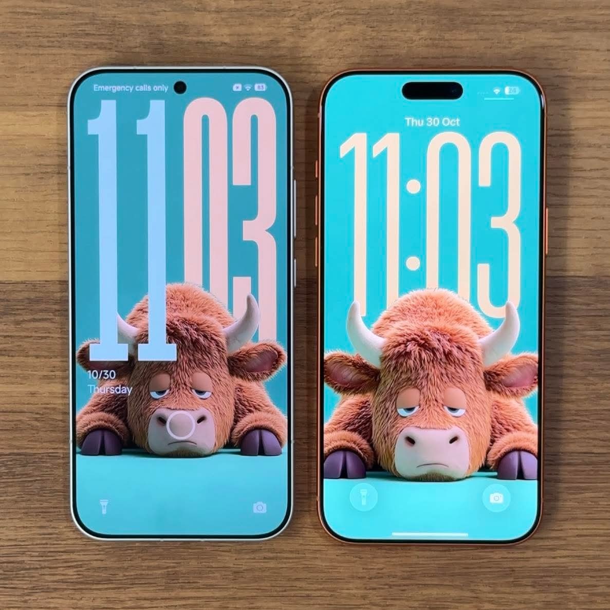 双兔傍地走 安能辨我是雄雌？ ​​​