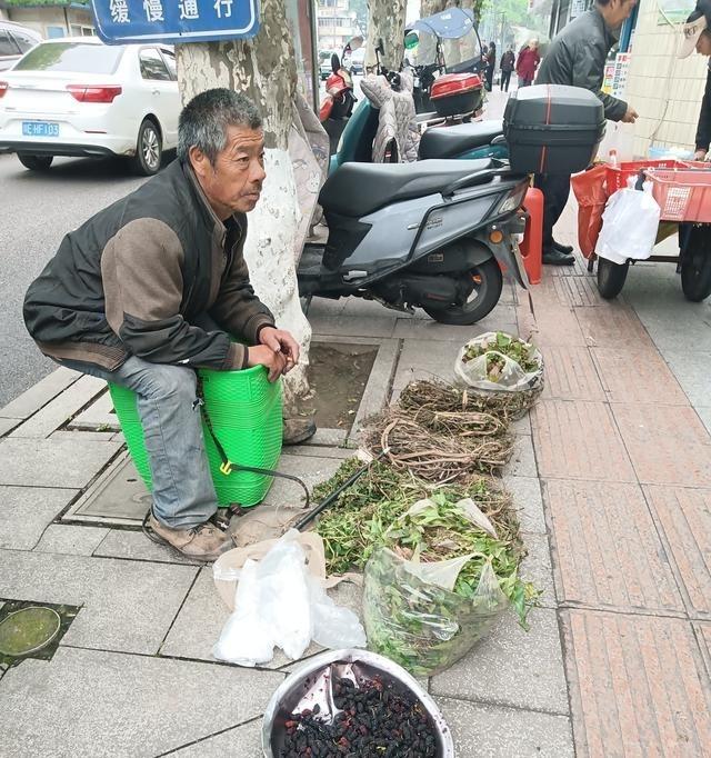 这哥们儿真是把“躺平”玩明白了。不打工不种地，天天进山挖蒲公英、车前草去卖，换钱