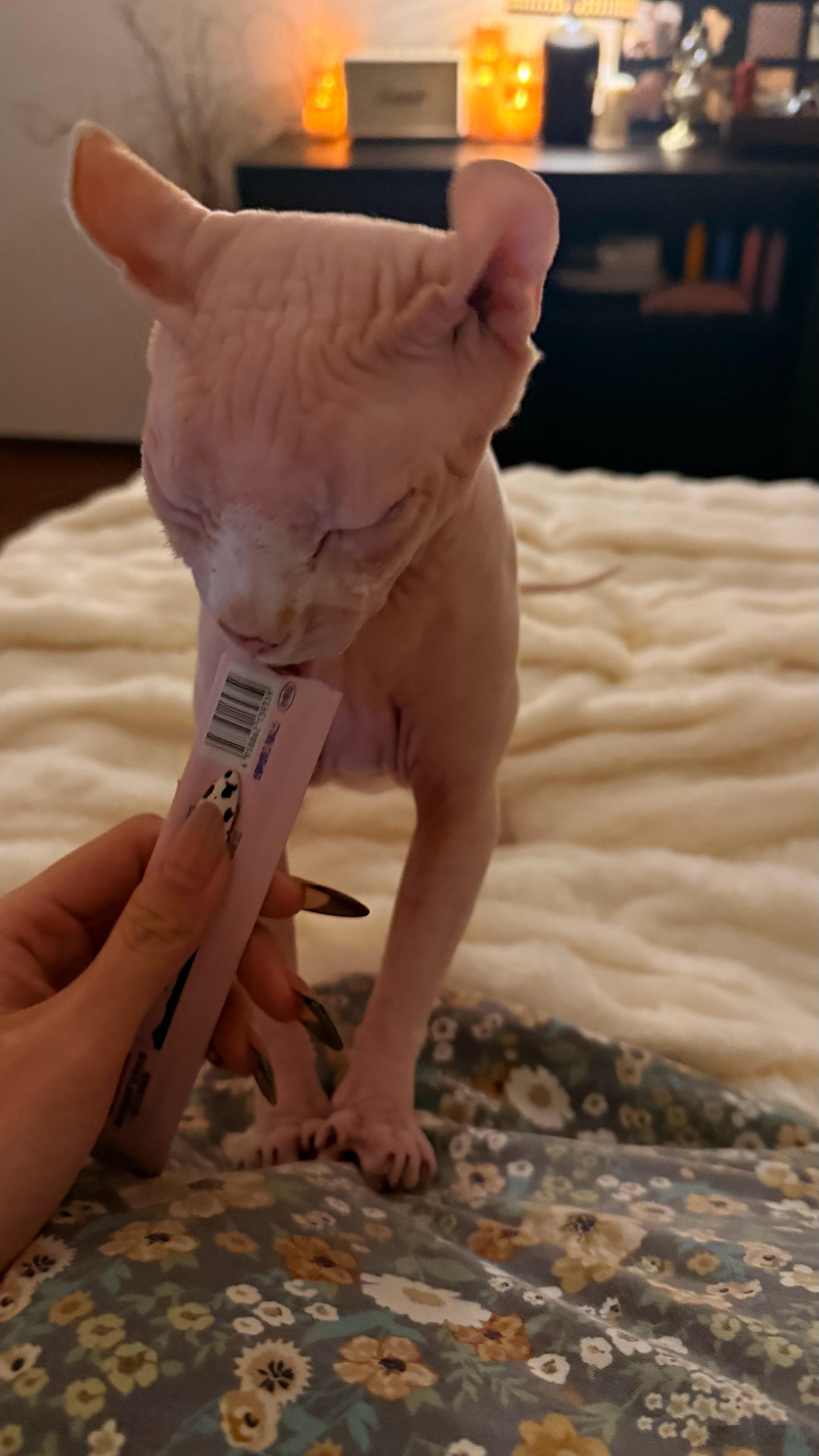 不使点伎俩你们是真不粘我啊 ​​​