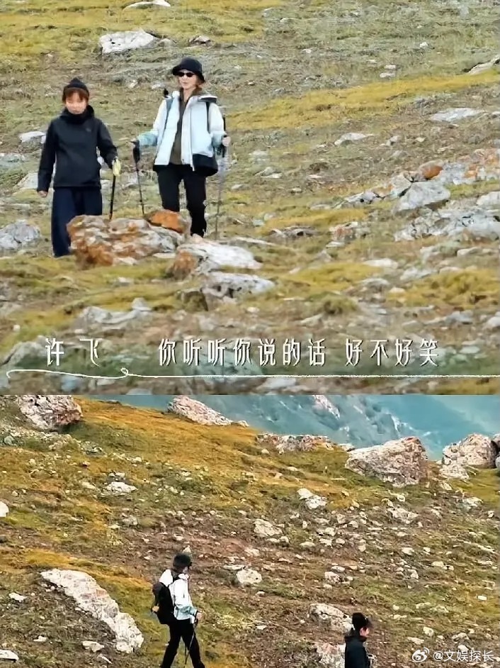 厉娜许飞 华妃端妃许飞和厉娜当年的事件，如果拿甄嬛传人物来比较的话，厉娜=华妃、