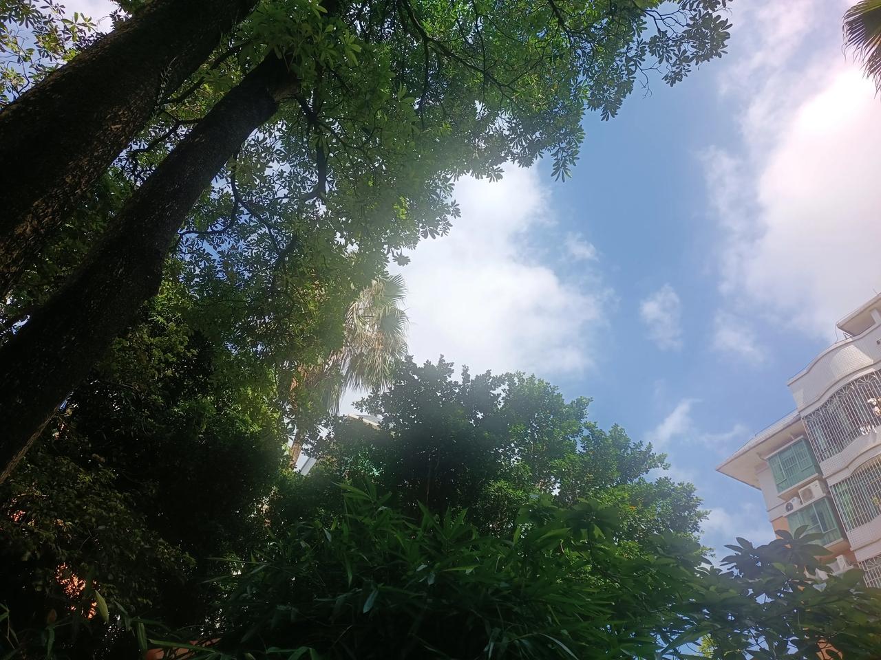 随手分享，一张天空照
今天天气好晴朗
阳光明媚
云☁️卷云☁️舒
慢慢欣赏
真的
