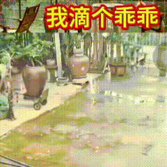 我滴个乖乖……这下好了，全网都知道了！


车子倒了，花盆碎了，人也飞了，鞋也掉