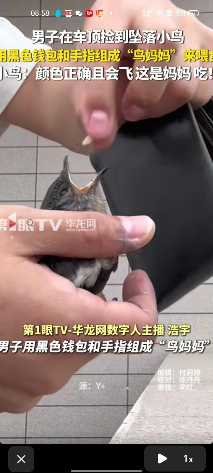 5月12日，福建泉州。男子在一楼车库车顶发现坠落的小鸟，当时天下着小雨，想着给它