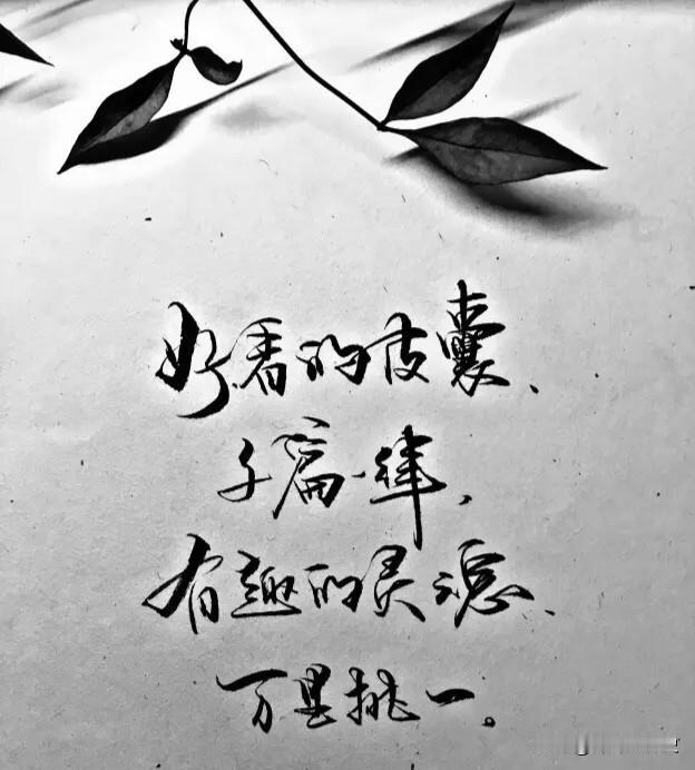 《皮囊》

整理昨日诗稿
纸叶已泛黄
跳跃的文字
咆哮着
排山倒海般的惊涛骇浪