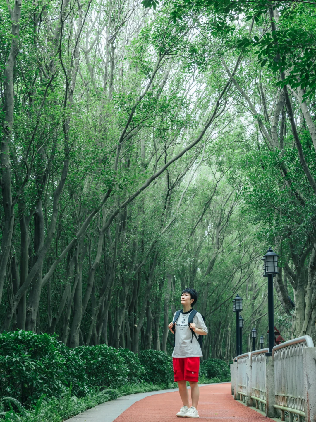 ​太会挖‼️广州小众天然氧吧徒步路线