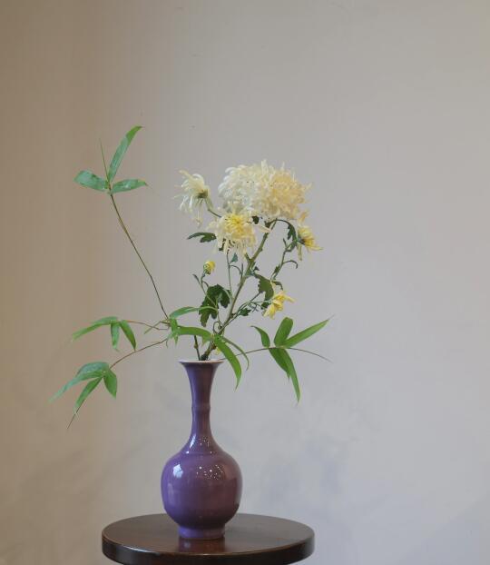 白菊低垂，遥寄思念