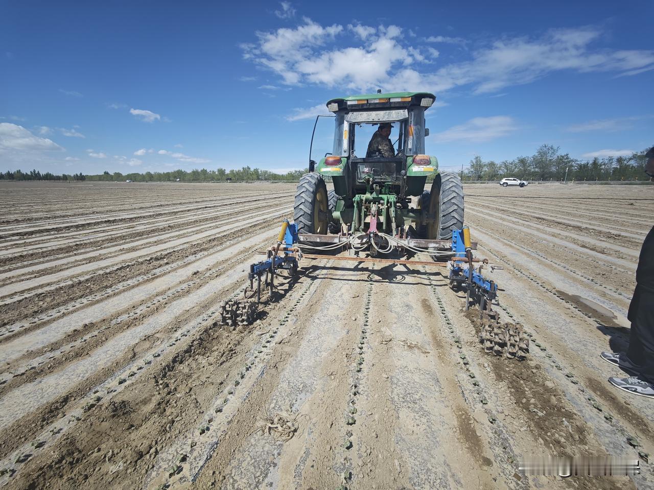 春日生活打卡季 拖拉机耕作田地，播种新希望！🌾🚜棉花中耕正当时