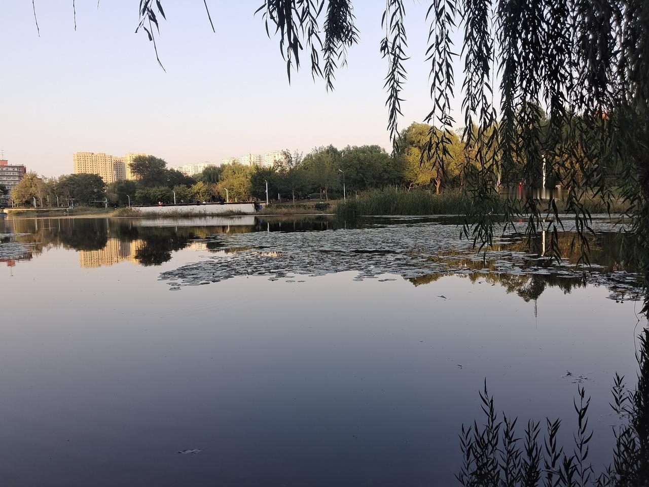 风景旧曾谙