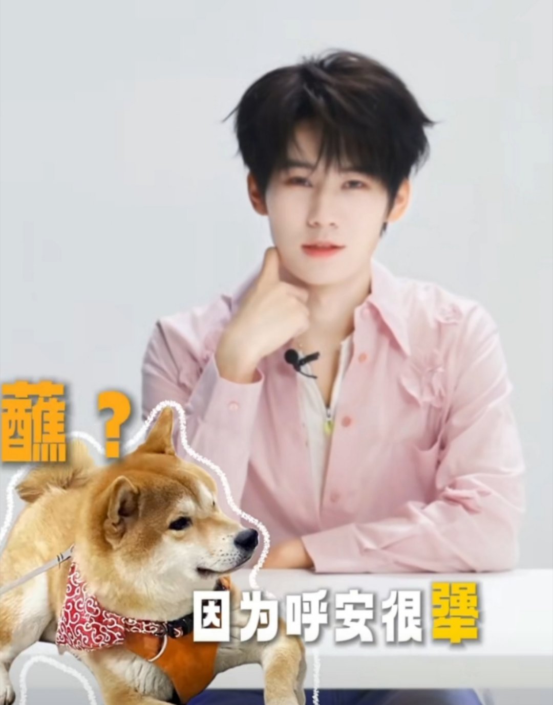 张真源它很犟所以得蘸酱  被张真源可爱到了！“它很犟所以得蘸酱”，和呼安一来一回