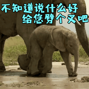 今天反黑又来感觉了