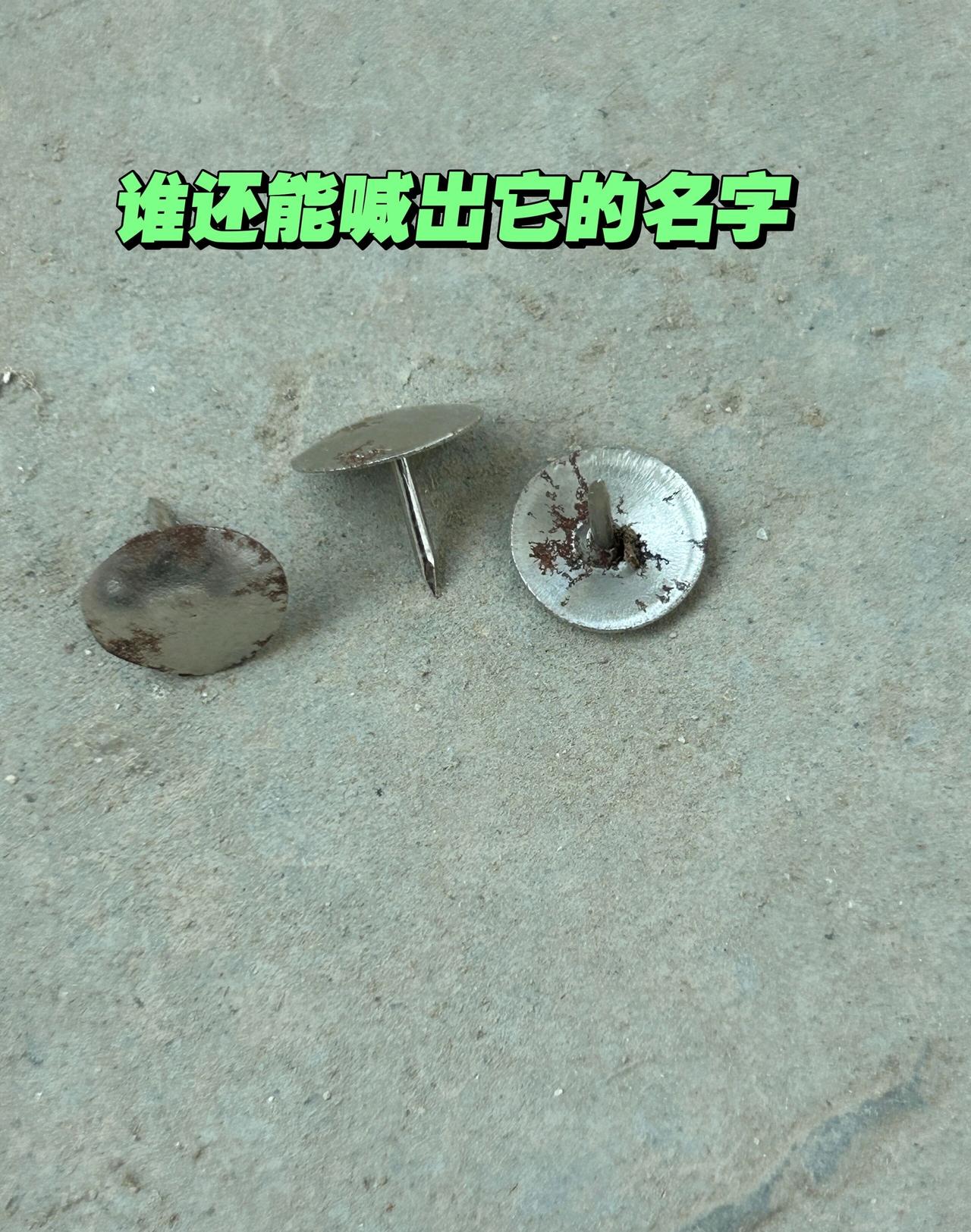 谁还能喊出它的名字？
小时候经常见它，经常用它固定东西，现在基本上已经看不到它了