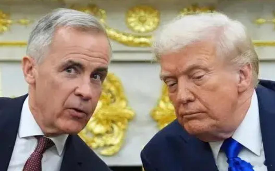 【特朗普竟批加拿大“不吃中国剩饭”，孙玉良：我听到了巨婴式咆哮】这世界真有意思，