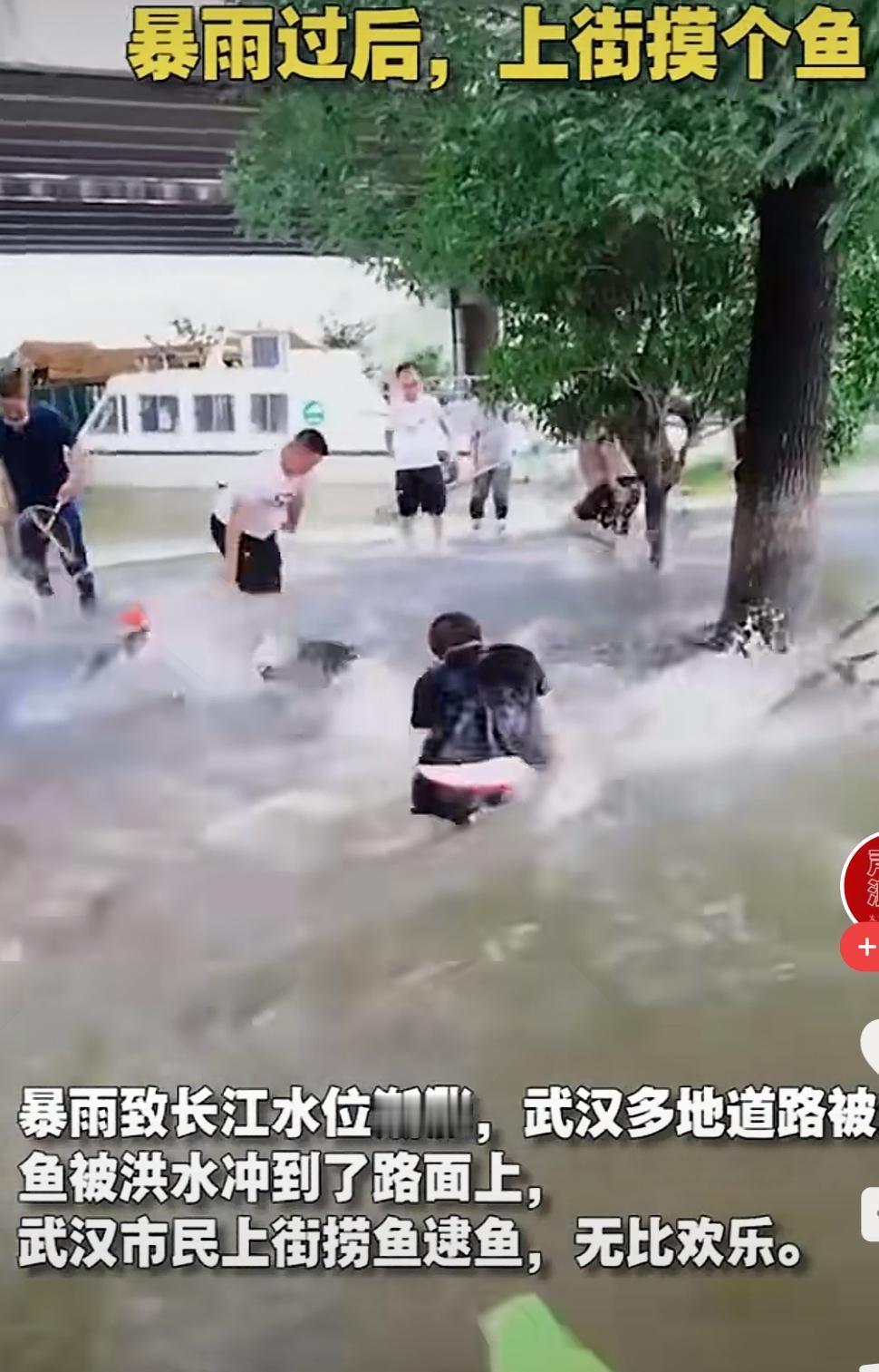 我记得80年代小学课本上有一篇南方小朋友抓鱼的文章，内容是几个小朋友下课以后带着