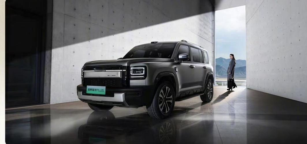 哈弗猛龙Plus正式开启预售，共推出3款配置车型：
195Max
18.98万