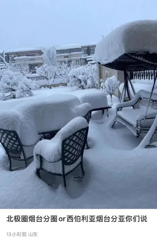 雪落无声，静待暖阳。藏一抹宁静，点亮心灵；伴岁月安好，唯美心情