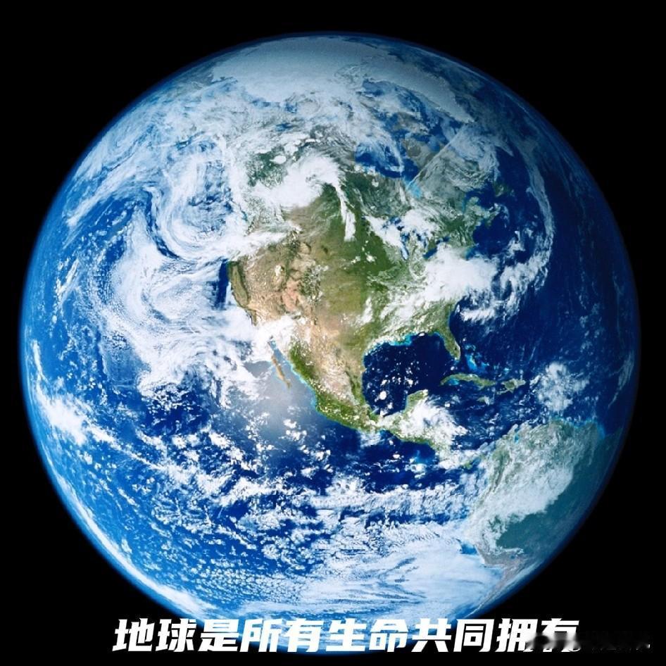 当这片土地上第一次出现流浪动物这一词汇时，人们就开始产生矛盾，矛盾的核心就是，它