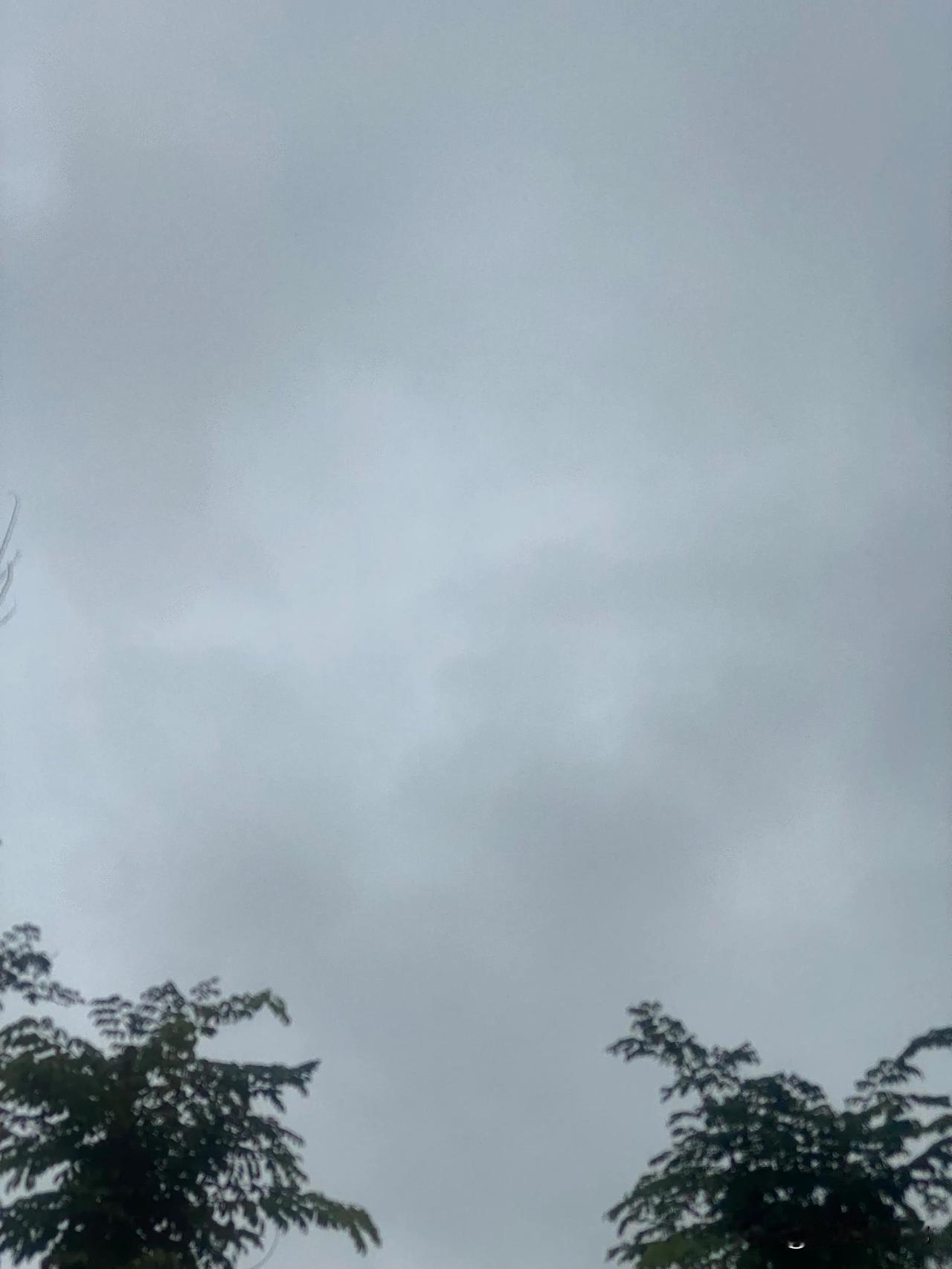 海口今日的天空真是昏暗，阴雨连绵风吹过都有些凉意，鸟儿们不知道飞到哪里去了，世界