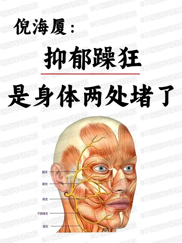 倪海厦：抑郁躁狂发作，是身体两处堵了，别再傻傻吃西葯