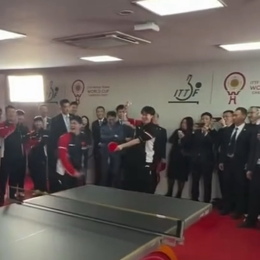 此狗情商极高 也超会调节氛围 把大家逗的很开心