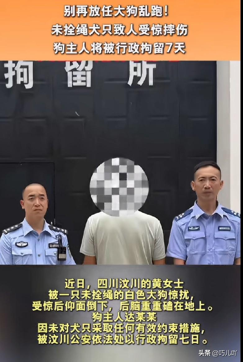 养狗管理疏忽，不拴绳任大狗乱跑致他人摔伤，狗主人或被拘留！

前几日，四川汶川的