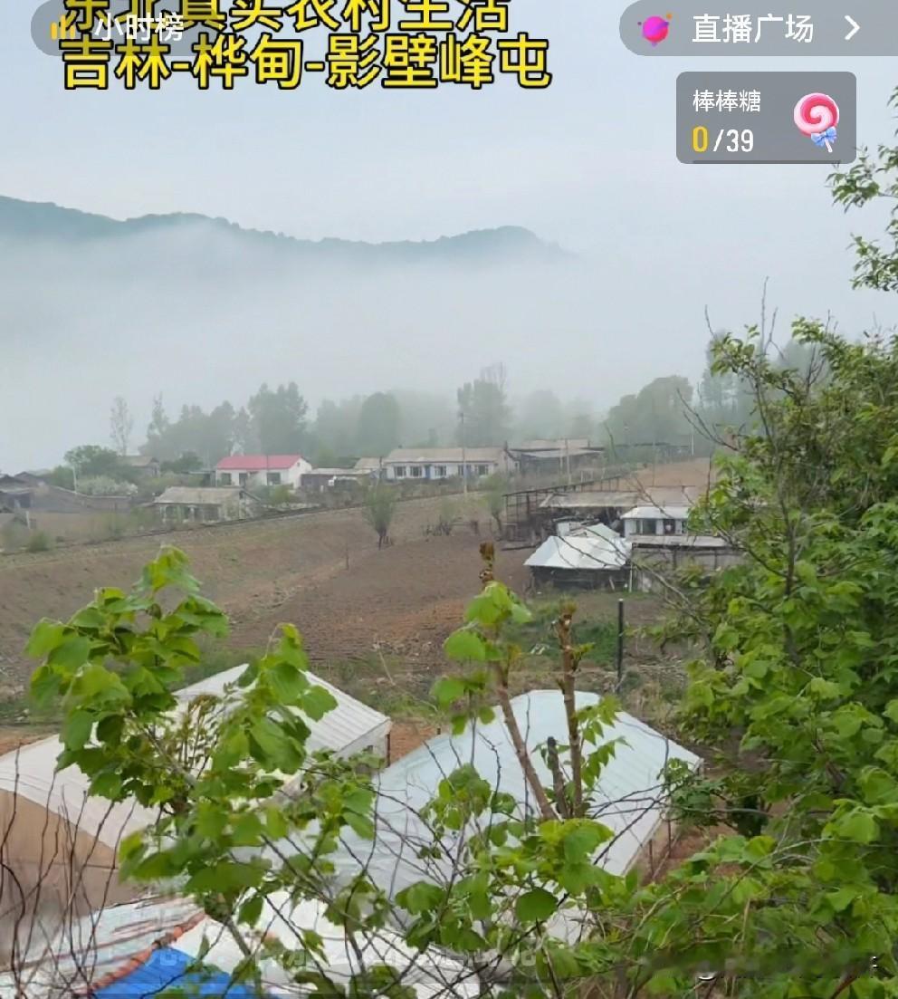 真是体会才懂

本来我觉得吉林市，我生活的地方就是最舒服的，不热，买东西买菜方便