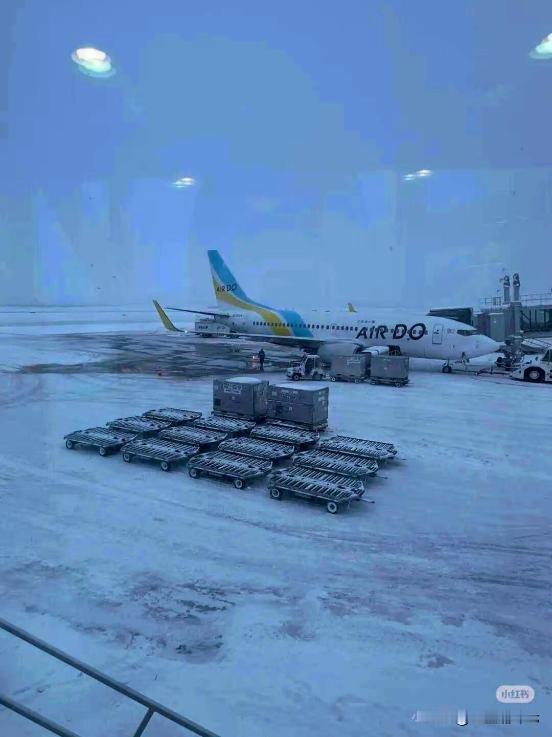 不听劝，真的出事了

我昨天刚刚说了国家已经第3次关于赴日旅游安全提醒，但是仍然