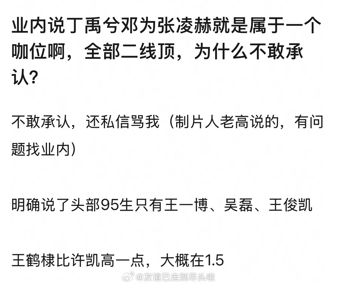 业内说丁禹兮和张凌赫是属于一个咖位，二线顶。头部生是王一博、吴磊和王俊凯，王鹤棣