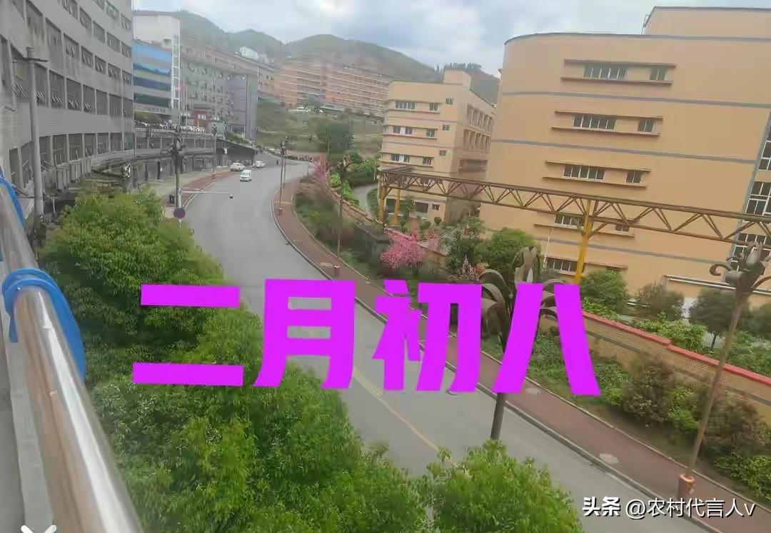 今天二月初八，白天不做这4件事，老辈说：讨个一顺百顺，日子越走越顺。
 
“二月