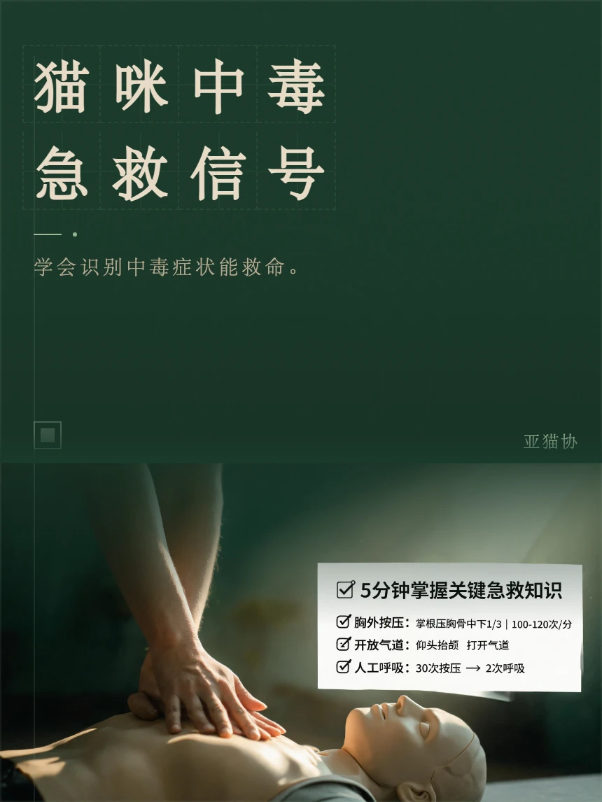 猫咪中毒急救信号