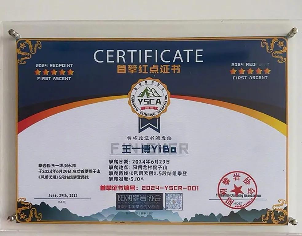没有VOGUE盛典，不知道我们会不会有机会看到王一博去分享这张“首攀红点证书”？