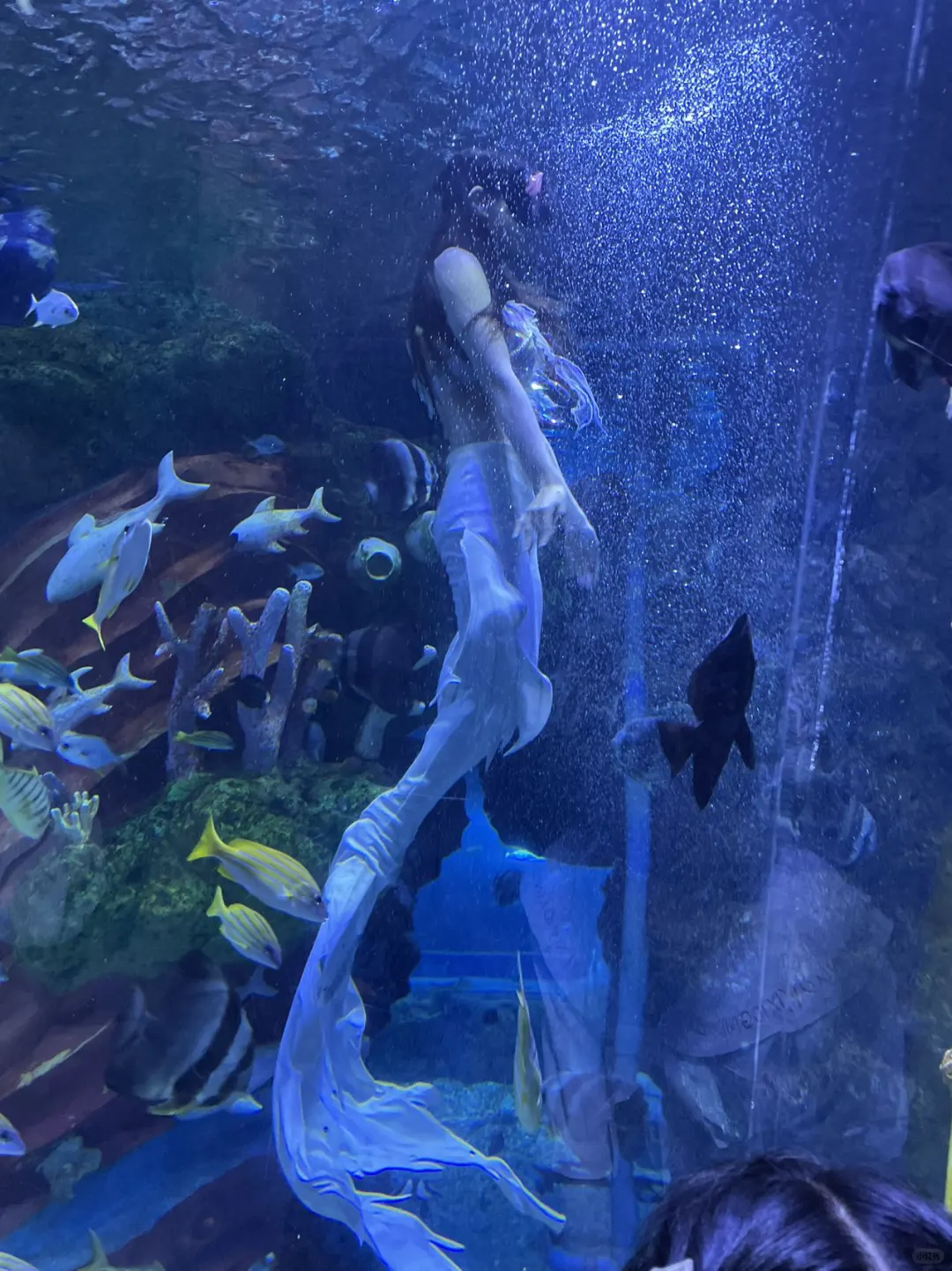 暑假遛娃好去处，清凉一夏探索海底世界