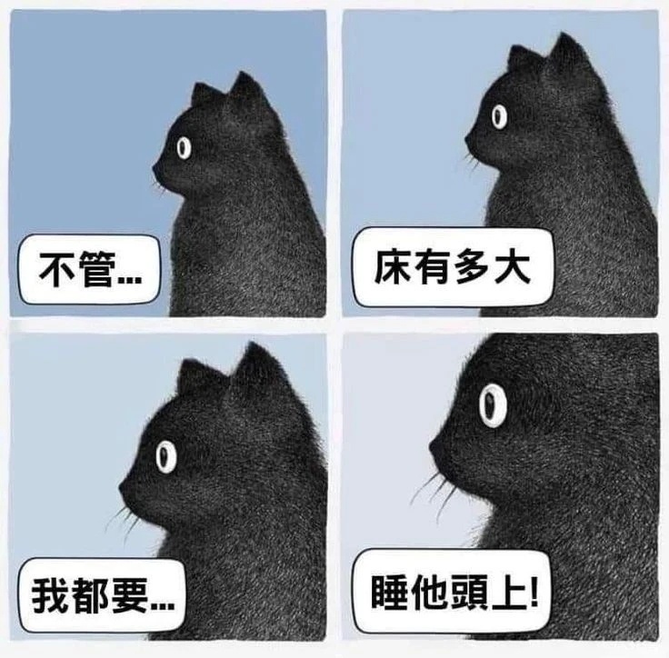 合理！是猫猫的行为！ 一些猫meme  / 