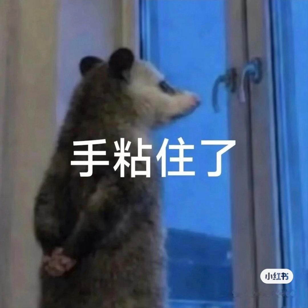 歪嘴猴和前cp这个beef背后推手到底是谁，现在看起来大家都打得这么上头，至于吗