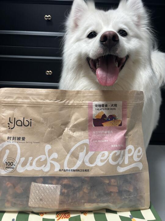 yabi ～囧囧囧～