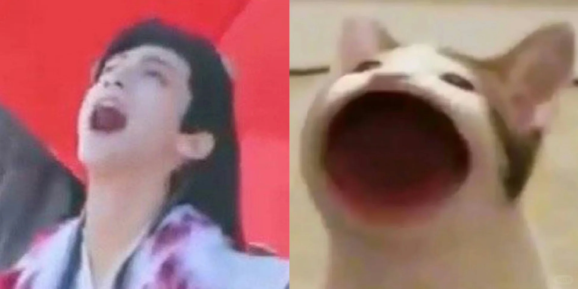 我宝你这是在干嘛