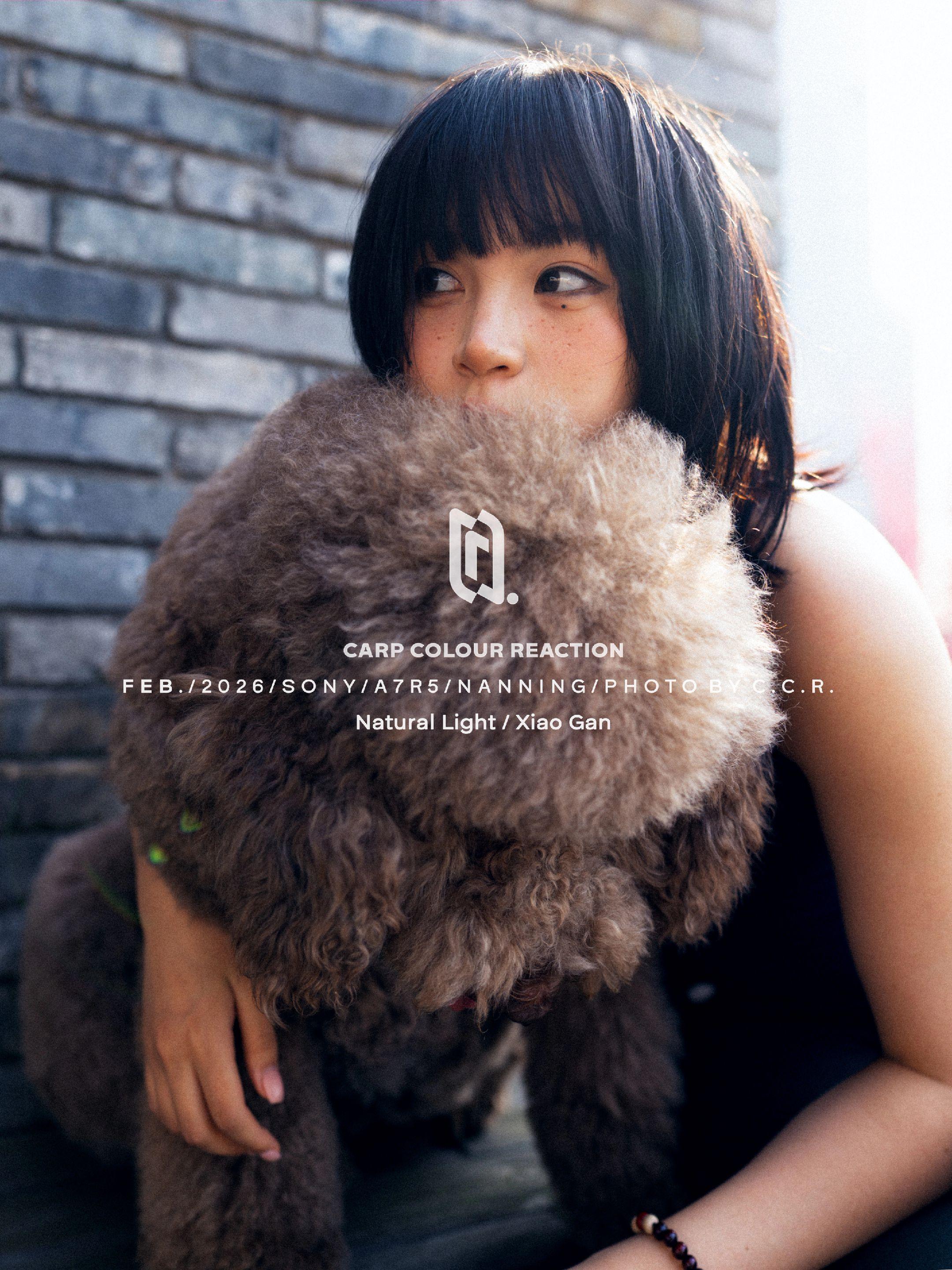 南方的冬天像夏天！反季节旅游都来南宁，背心和狗狗巨配！