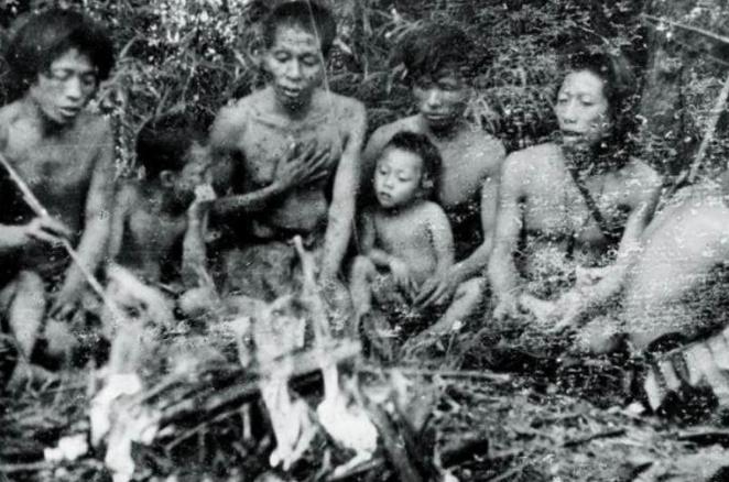 1956年，解放军在云南原始森林深处，发现一群衣不蔽体，蓬头垢面的男男女女。这就