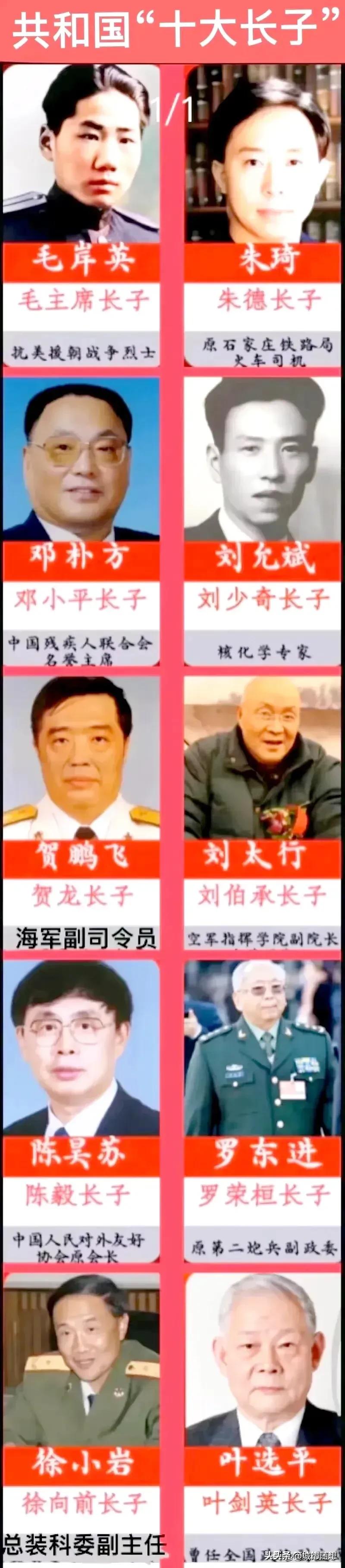 开国功勋的儿子们都有什么其他身份？
最牛的是贺龙长子贺鹏飞，他最高担任海军副司令