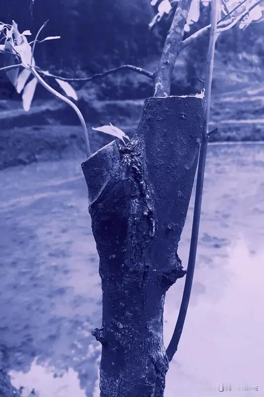 我们小区，每月万元以上退休金的人比比皆是，但是有的活得光鲜，有的人自在，有的人平